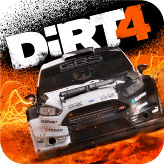 尘埃4（DiRT 4）