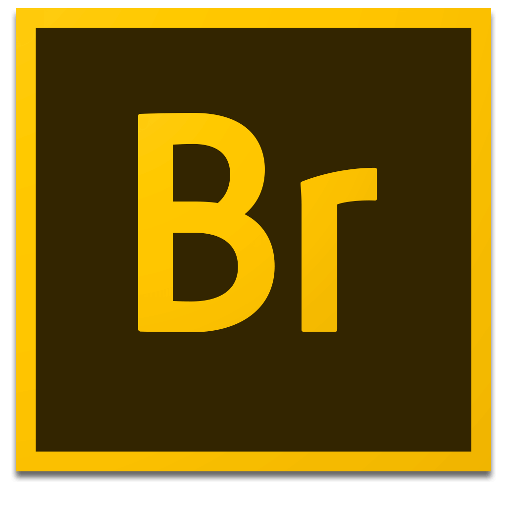 Adobe Bridge 2020